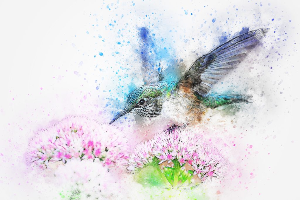 akwarela ptak koliber malowanie